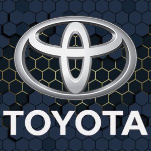 Toyota Rug Design
